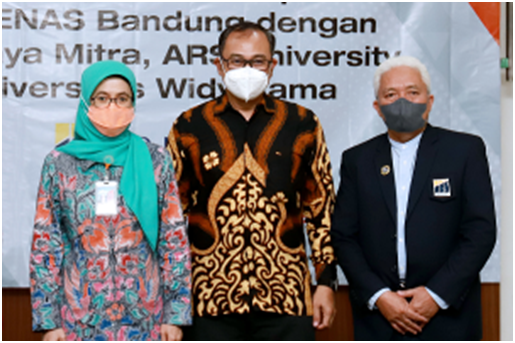 News Alita 1